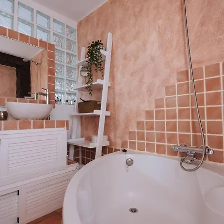 Monkeys Darsena Penthouse Apartment Seville